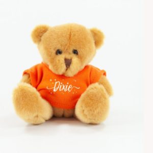 12cm Scout Bear